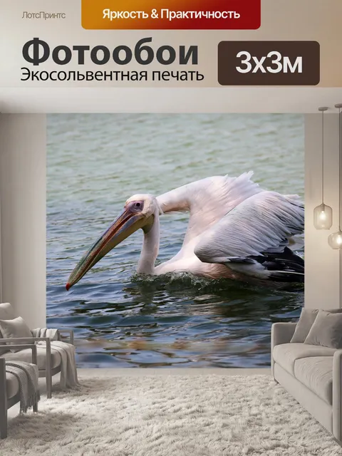 Фотообои Пеликан плавает в озере