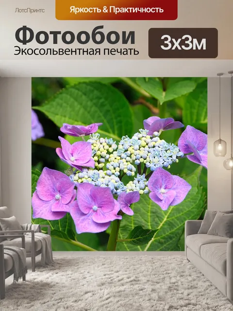 Фотообои Гортензия