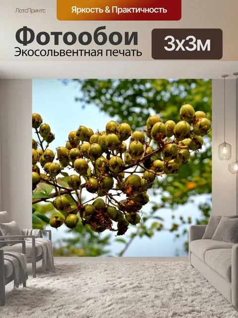 Фотообои Ягоды