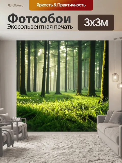 Фотообои утренний лес с роса на траве