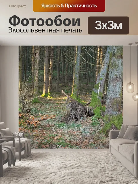 Фотообои Лес