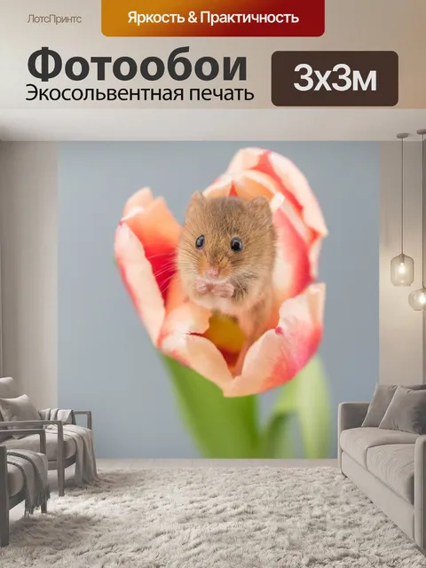 Фотообои Урожай мышь