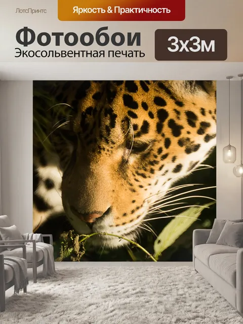 Фотообои Дикий тигр, Африка