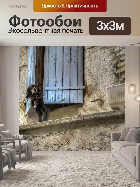 Фотообои Собака
