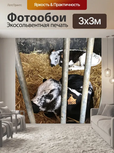 Фотообои Вогезы маленькая красавица