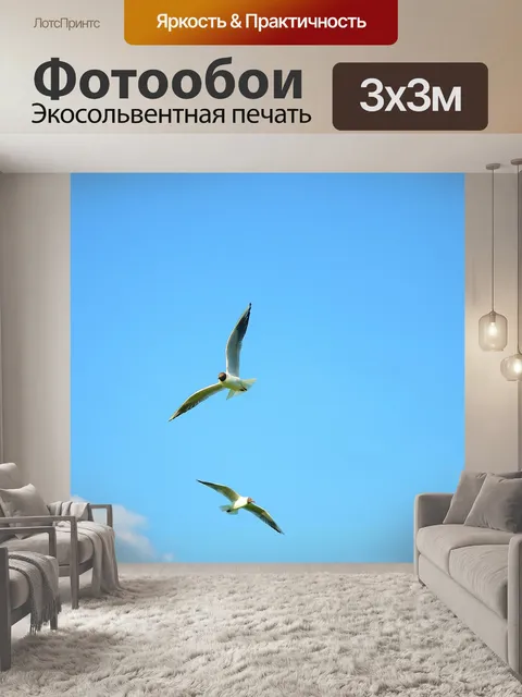 Фотообои Птица