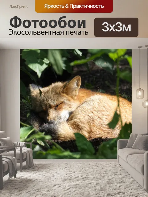 Фотообои Лиса