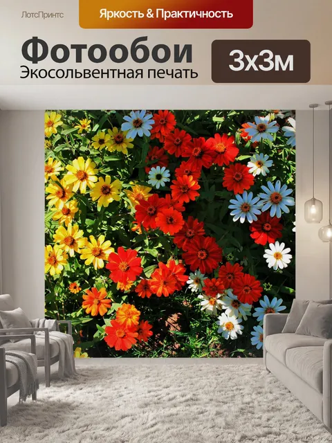 Фотообои разноцветных ромашек