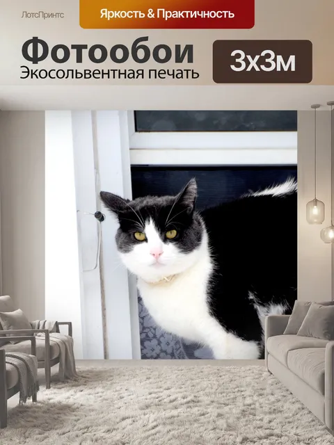 Фотообои Кошка