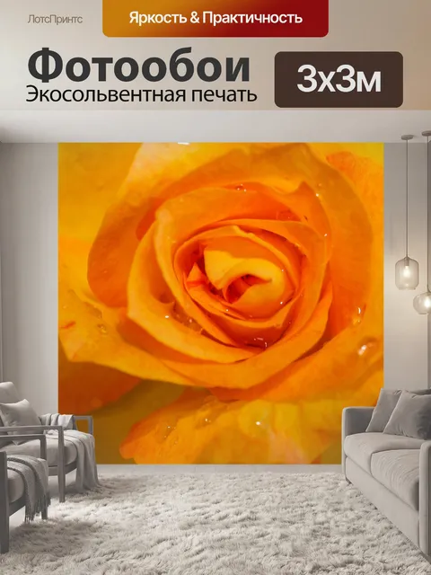 Фотообои Роза в саду
