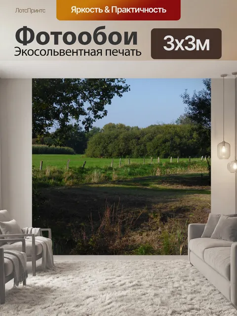 Фотообои Пейзаж лесные деревья
