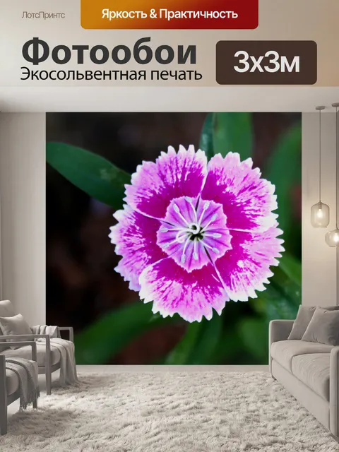 Фотообои Довольно розовый цветок