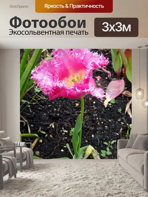 Фотообои Красивый розовый садовый цветок