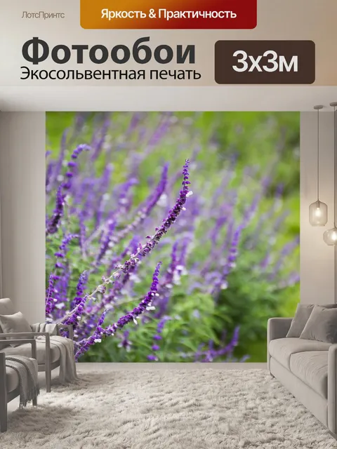 Фотообои Лаванда