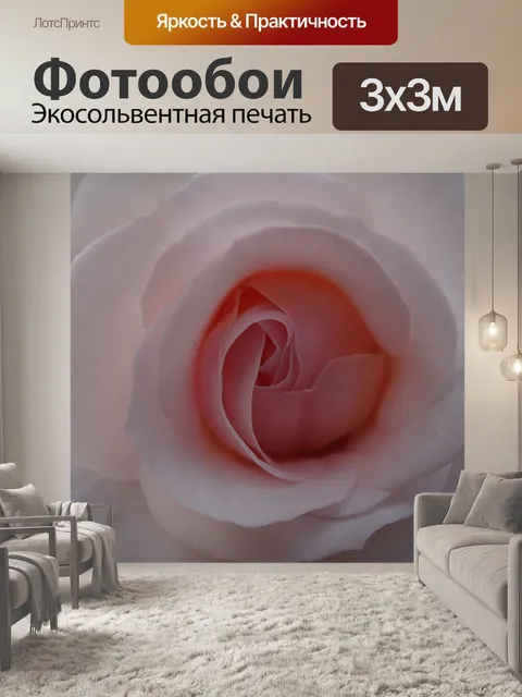 Фотообои Роза