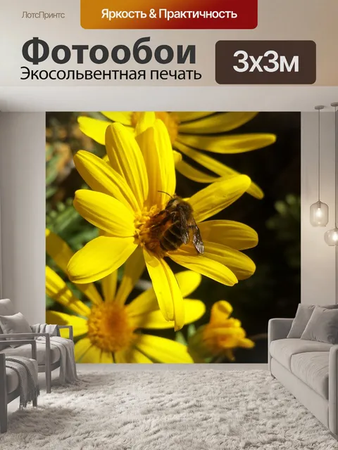 Фотообои Природа