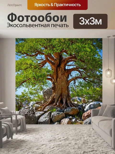 Фотообои неприступное дерево, растущее среди камней, словно сторож природы