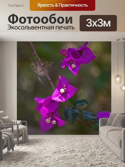 Фотообои Цветок