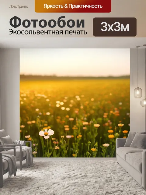 Фотообои утро: открытое поле с цветами, нежно светящимися в утреннем свете, романтическая концепция