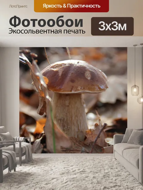 Фотообои Грибы