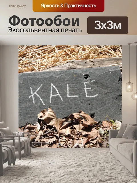 Фотообои Капуста сад знак