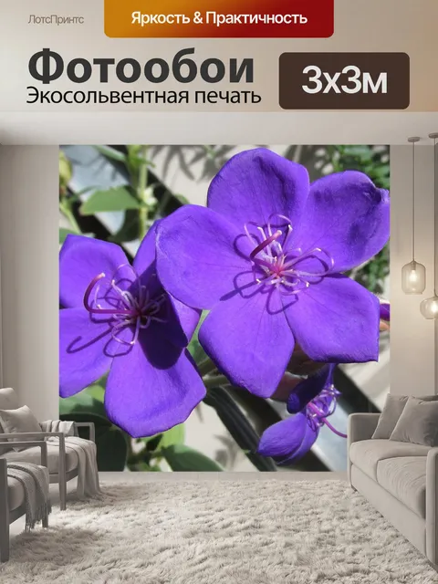 Фотообои Цветок