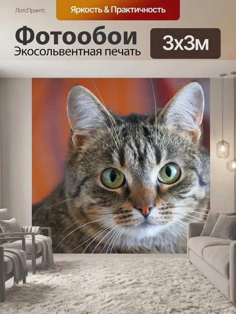 Фотообои Кошка