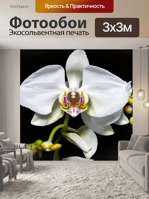 Фотообои белая орхидея в макрофотографии