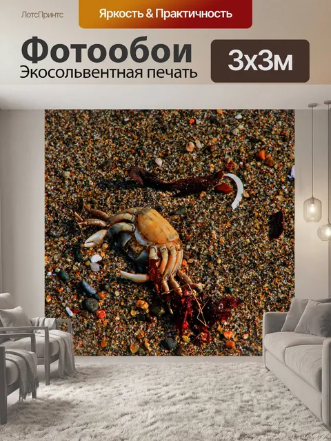 Фотообои Красочный крабовый фон