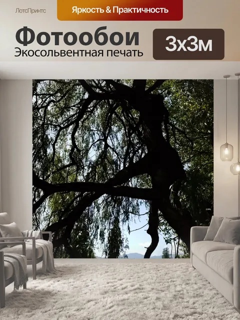 Фотообои Дерево