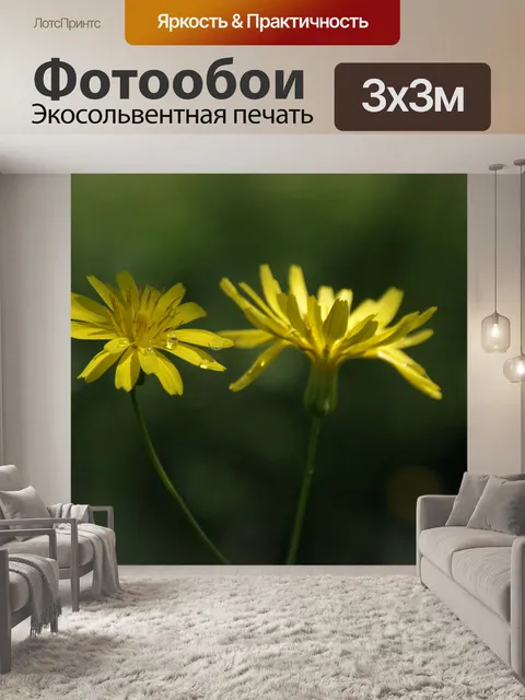 Фотообои Два одуванчика в зеленом лугу