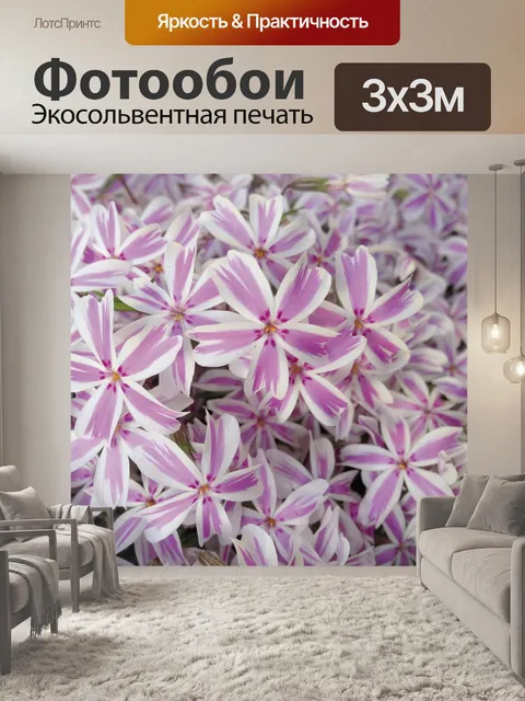 Фотообои Флокс