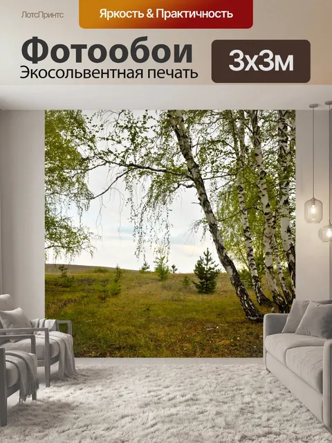 Фотообои Береза