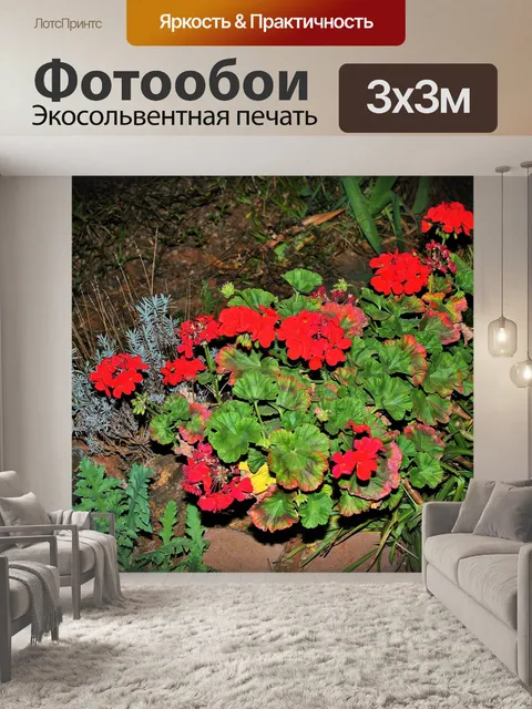 Фотообои Красный герани