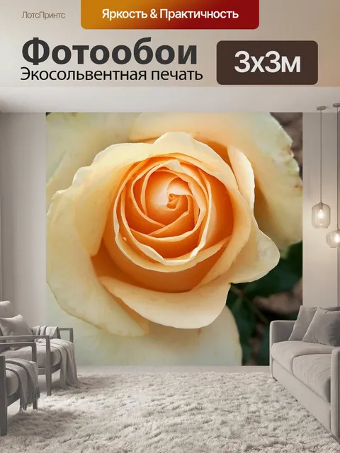 Фотообои Роза