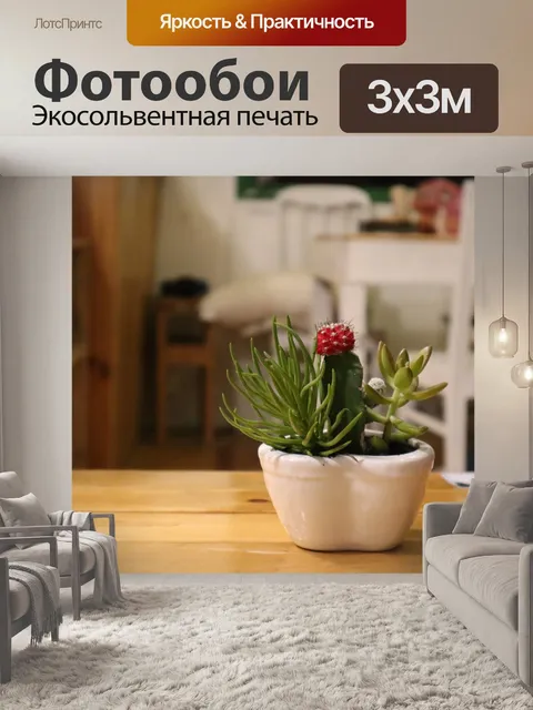 Фотообои Цветок кактуса