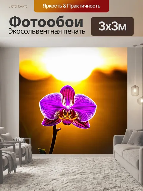 Фотообои орхидея на фоне яркого заката