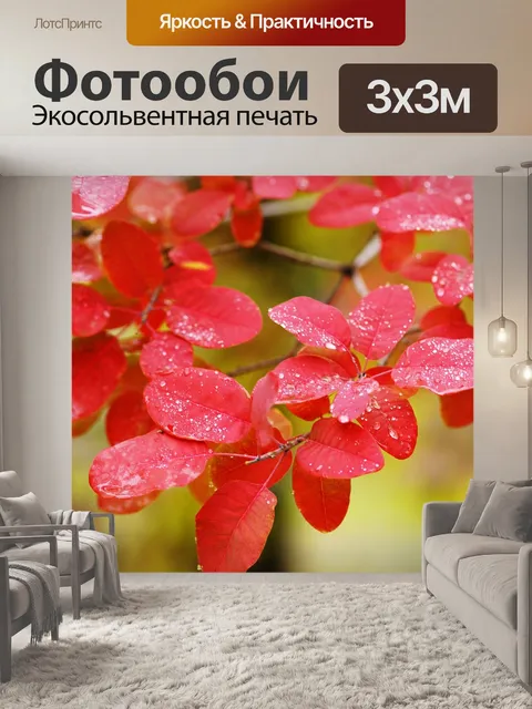 Фотообои Осень