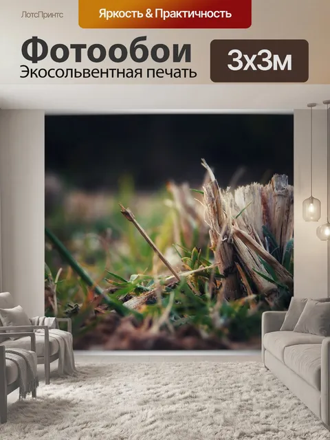 Фотообои Природа