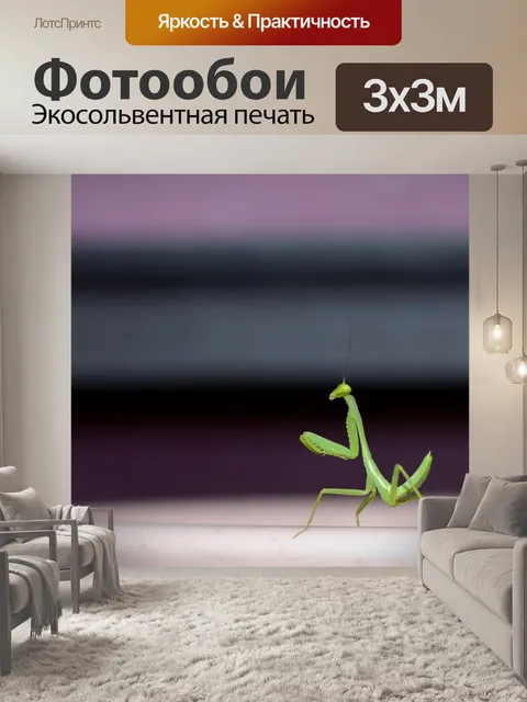 Фотообои Богомол