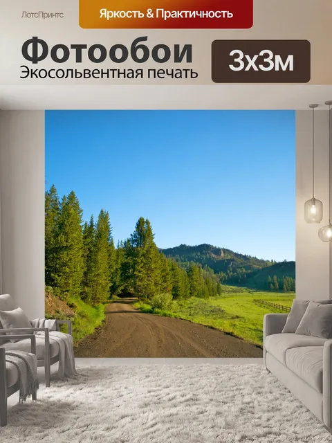 Фотообои Грязь дорога ведет к Вудс