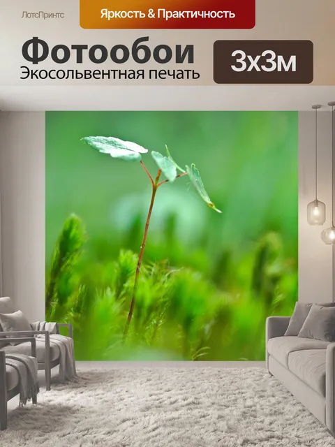 Фотообои Дерево
