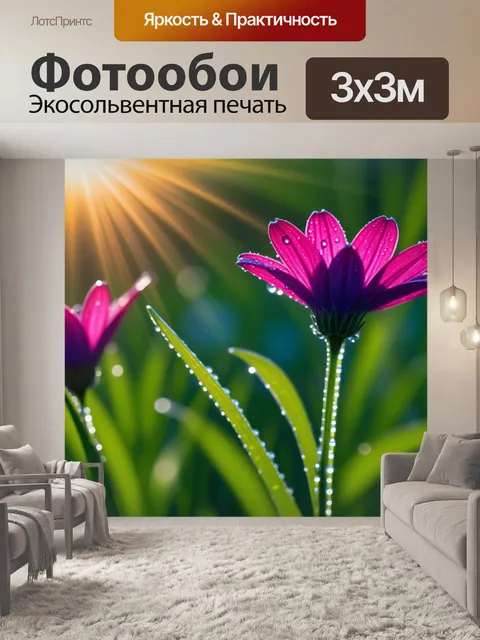 Фотообои цветы в росе на утреннем солнце