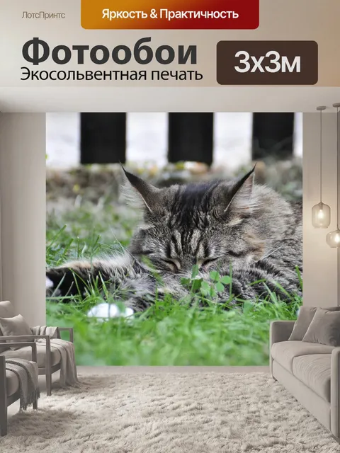 Фотообои Спящий