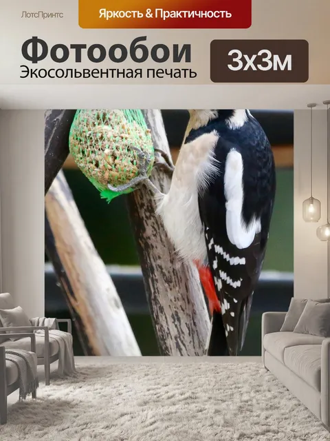 Фотообои Дятел