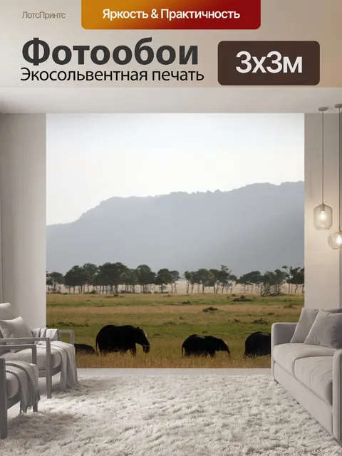 Фотообои Слон