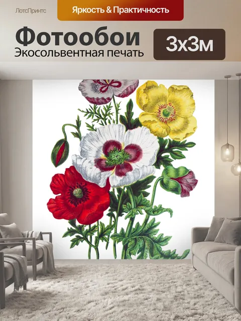 Фотообои Цветы мака Vintage Art