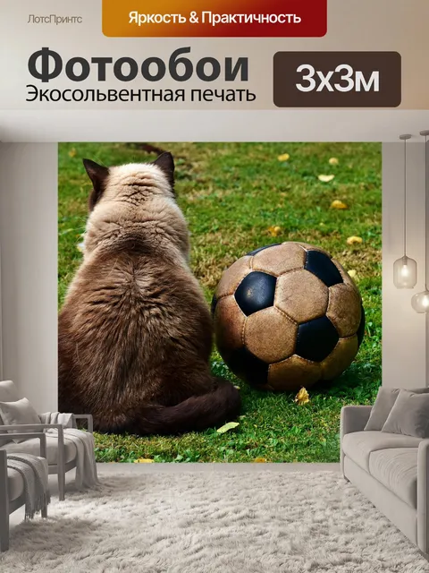 Фотообои Кот