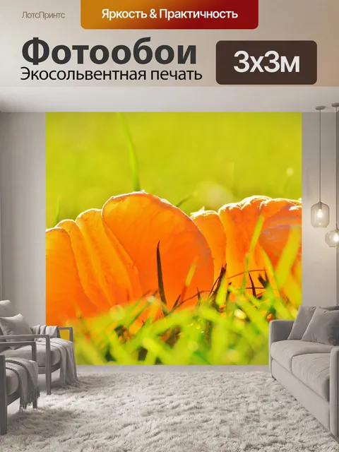 Фотообои Мандарины
