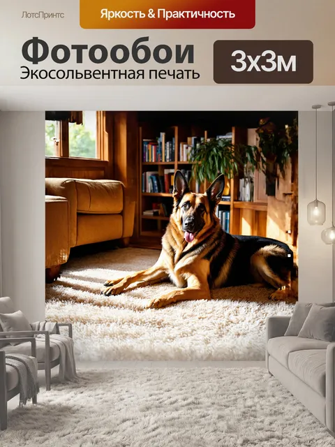 Фотообои огромная немецкая овчарка спокойным образом лежит на мягком ковре в уютной гостиной